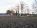 1 planting